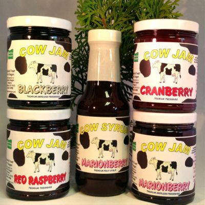 Cow Jam Variety Gift Box