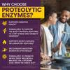 WellnessOne ProOneZyme Digestive Enzymes Supplements - Systemic Proteolytic Enzymes for Digestion, Gut Health, Gas Relief & Bloating - Contains Bromelain, Nattokinase, Protease & More - 90 Capsules view 3