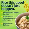 Lundberg Regenerative Organic Brown Rice Long Grain, Kosher, USDA Certified Organic, Gluten Free & Non-GMO, 32 Ounce (Pack of 1) view 4