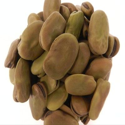 OliveNation Organic Fava Beans, Dried Broad Beans, Non-GMO, Gluten Free, Kosher, Vegan - 32 ounces