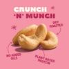 Back to Nature Jumbo Cashews - Dry Roasted with Sea Salt, Non-GMO High Protein Snacks, 9 Ounce (Pack of 9) view 3
