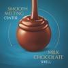 Lindt LINDOR Sea Salt Milk Chocolate Truffles, Milk Chocolate Candy with Smooth, Melting Truffle Center, Great for Gift Giving, 5.1 oz. Bag (6 Pack) view 3