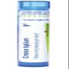 Boiron Croton Tiglium 9C Homeopathic Medicine for Itching - 80 Pellets view 1