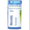 Boiron Blatta orientalis 5C for Respiratory Allergies - 80 Pellets view 1