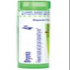 Boiron Bryonia 4X Homeopathic Medicine for Muscle & Joint Pain - 80 Pellets view 1