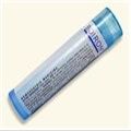 Boiron Eupatorium Perfoliatum 6X Homeopathic Medicine for Stiffness & Bone Pain - 80 Pellets