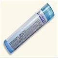 Boiron Eupatorium Perfoliatum 6X Homeopathic Medicine for Stiffness & Bone Pain - 80 Pellets