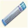 Boiron Eupatorium Perfoliatum 6X Homeopathic Medicine for Stiffness & Bone Pain - 80 Pellets view 1