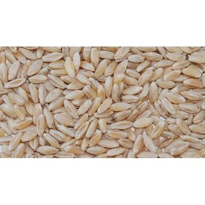 Organic Soft White Winter Wheat Berries 50 lbs.
