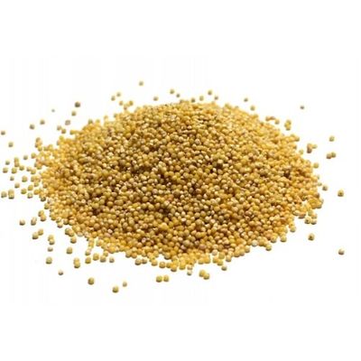 Grains Hulled Millet 3x 25LB