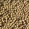 Beans Soybeans 1x 25LB view 1
