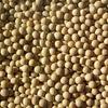 Beans Soybeans 3x 25LB view 1