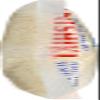 Nishiki Med Grain Rice 48x 2LB view 2
