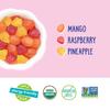 YumEarth Organic Tropical Flavored Fruit Snacks, Individual Snack Packs, Allergy Friendly, Gluten Free, Non-GMO, Vegan, No Artificial Flavors or Dyes (5 Snack Packs) view 4