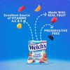 Welch's Fruit Snacks, Mixed Fruit, Gluten Free, Bulk Pack, 0.9 oz Individual Single Serve Bags (Pack of 66) view 4