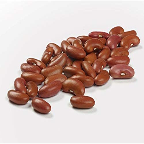 Camellia Bulk Red Kidney Bean 4 lb