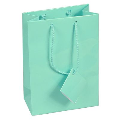 10 pcs Medium Fancy Robin's Egg Blue Glossy Finish Shopping Paper Gift Sales Tote Bags with Blank Message Tag 4.75" x 2.5" x 6.75"