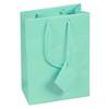 10 pcs Medium Fancy Robin's Egg Blue Glossy Finish Shopping Paper Gift Sales Tote Bags with Blank Message Tag 4.75" x 2.5" x 6.75"