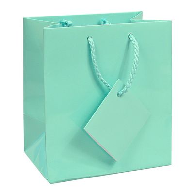 10 pcs Small Fancy Robin's Egg Blue Glossy Finish Shopping Paper Gift Sales Tote Bags with Blank Message Tag 4" x 2.75" x 4.5"