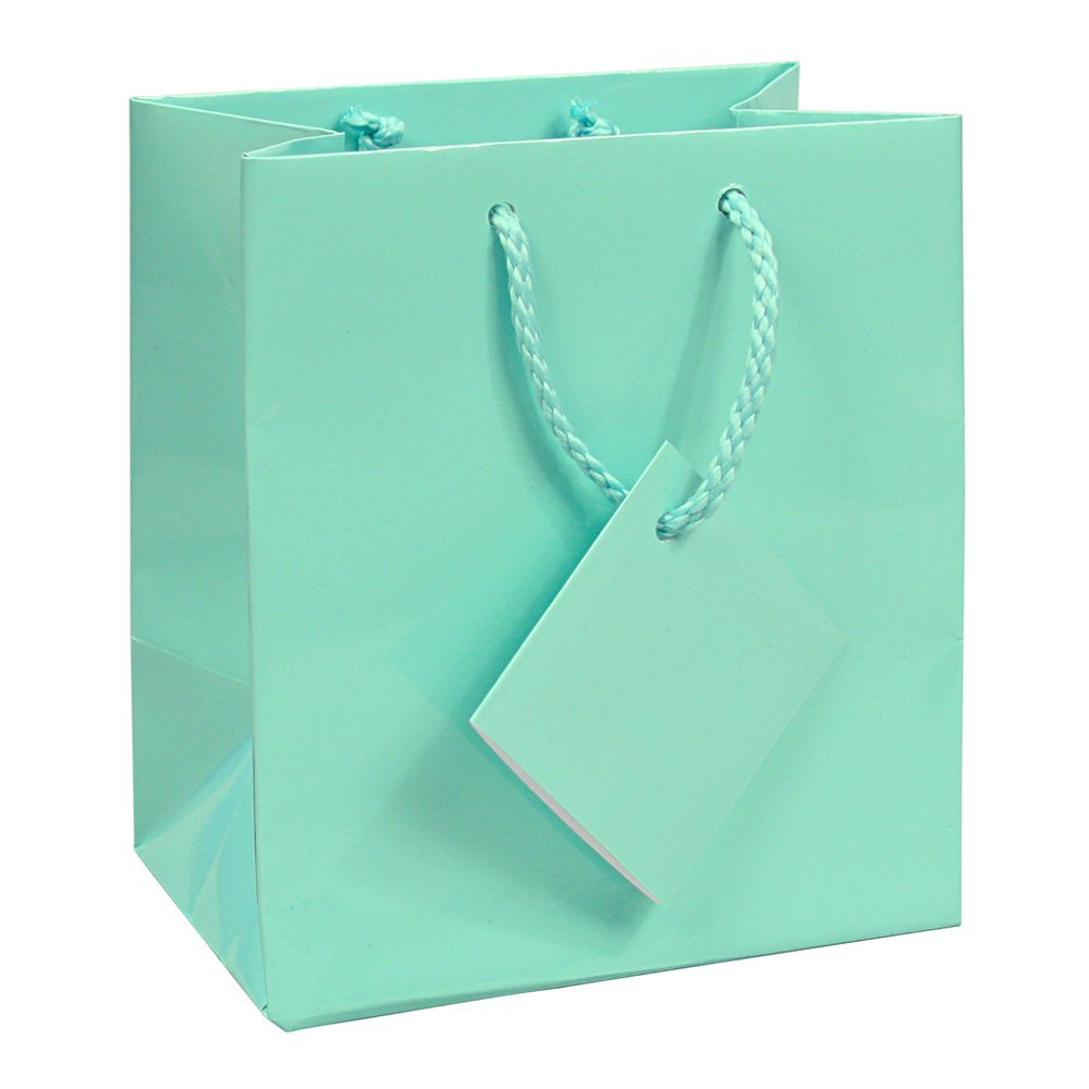 10 pcs Small Fancy Robin's Egg Blue Glossy Finish Shopping Paper Gift Sales Tote Bags with Blank Message Tag 4" x 2.75" x 4.5"