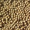 Beans Soybeans (1x25LB ) view 1