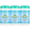 Citrus II CPAP Cleaning Wipes - Sanitizies BIPAP and CPAP Masks - Removes Dirt and Oil - Clean Citrus Scent - 62 Wipes Per Canister - Pack of 3 view 1
