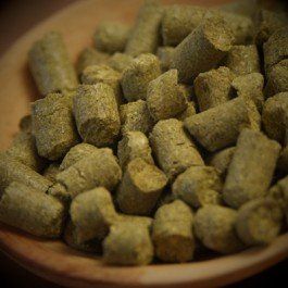 Galena T-90 Hop Pellets (1lb)