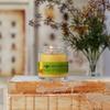 Big Dipper Wax Works Beeswax Aromatherapy Candle, Meditation - Cedarwood & Balsam, 100% Natural, Apothecary Glass, 20-Hour Burn, Relaxation & Calm, 2" x 2.5" view 2