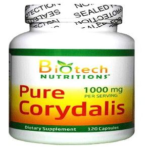 Biotech Nutritions Pure Corydalis Dietary Supplement 10:1 Extract 1000 mg 120 Count