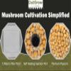 Sterilized Popcorn Mushroom Substrate view 4