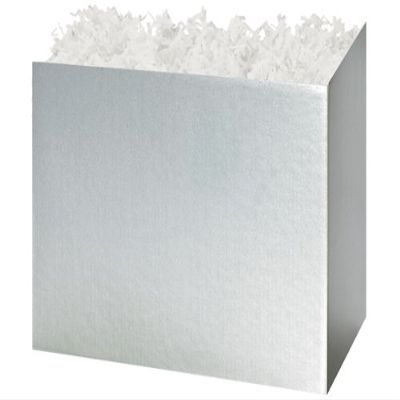 Large Solid Metallic Silver BasketBoxes 10-1/4x6x7-1/2" (2 Unit, 6 Pack per Unit.)