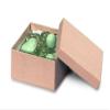 3-1/2x3-1/2x1-7/8" BROWN KRAFTJewelry Boxes w/ Non-Tarnish Cotton (1 unit, 100 pack per unit.)