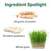 Vibrant Health, Maximum Vibrance, Complete Vegan Meal Shake with Plant-Based Protein, Chocolate Chunk, 15 Servings view 4