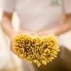 Rustichella d'Abruzzo Tagliatelle Pasta  250g, Classic Italian Durum Wheat, Traditional Hand-Cut Style, Perfect for Bolognese & Cream Sauces view 4