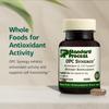 Standard Process OPC Synergy - Supports Antioxidant Activity - Aids Cellular Function & Brain Health - Aids a Healthy Heart - Supplement for Eye Health - 150 Tablets view 3