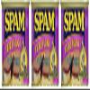 Teriyaki Spam 12 oz Pack of 3 view 3
