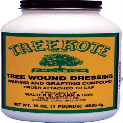 Clarks 00016 Treekote Brushtop Container, 16-Ounce