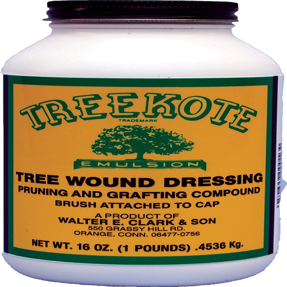 Clarks 00016 Treekote Brushtop Container, 16-Ounce