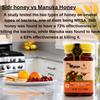 Authentic Mountain Sidr Honey  Jujube Honey, Supports Mental Health, Memory and Cognition, 100% Natural, Raw Liquid Honey, Gluten Free (500g / 17.6oz) view 4