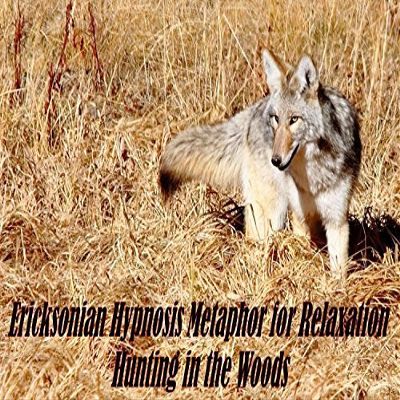Anxiety-Depression Release Hypnosis CD Hunting in The Woods Ericksonian Metaphor Reduces Anxiety to Promote Peace & Relaxation
