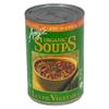 Amy's Organic Lentil Vegetable Soup 14.5 OZ (Pack of 4) view 1