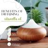 2 Bottles - 16 fl oz Citronella Essential Oil (100% Pure & Uncut), Aluminum Bottle - GreenHealth view 4