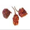 Trinidad Moruga Scorpion Peppers (2 Oz) view 3