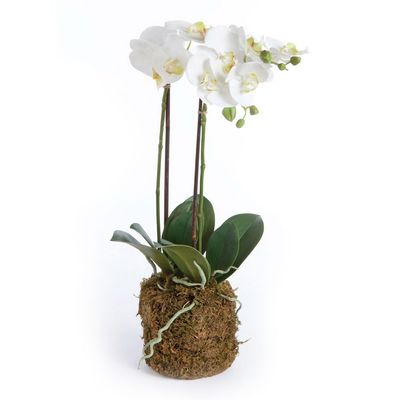 Napa Home & Garden 23" Phalaenopsis Orchid Faux Drop-in Flower Floral Plant Root Ball All Seasons Spring Summer Home Living Room Coffee Table End Table Bedroom Kitchen Sunroom Office Table Tabletop