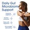 Nutrition Essentials Probiotics for Women and Men - with Lactase Enzyme and Prebiotic Fiber for Digestive Health - 80 Percent + More Potent Supplement for Gut Health Support - Vegan Formula view 3
