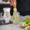 Ginger Rel, Ginger Infused Syrup, 16.9 FL OZ Squeezable Bottle (Pack of 1) view 4