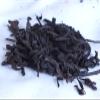 1980's Liu An Wide Basket Tea of Anhui Old Taste 1 Oz view 4