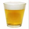 Bottoms Up! American Session Pale Ale, Beer Making Extract Kit view 4