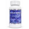 Celulas Madres Stem Cell Enhancer view 1