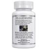 Celulas Madres Stem Cell Enhancer view 2
